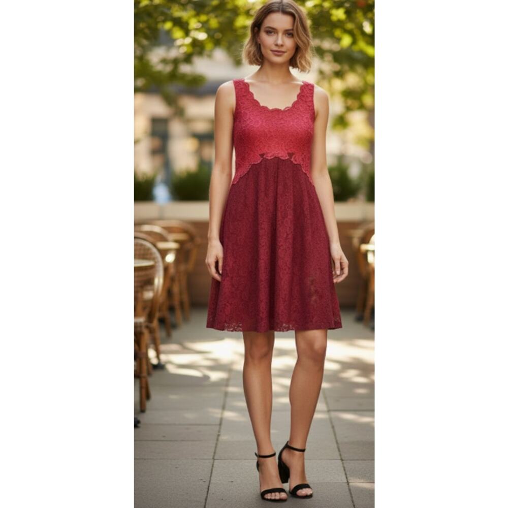 Anthropologie Moulinette Soeurs Carmindy Dress Pink Burgundy Lace 4 New